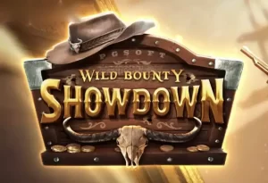 Wild Bounty Showdown Features: Everything You Need to Know About