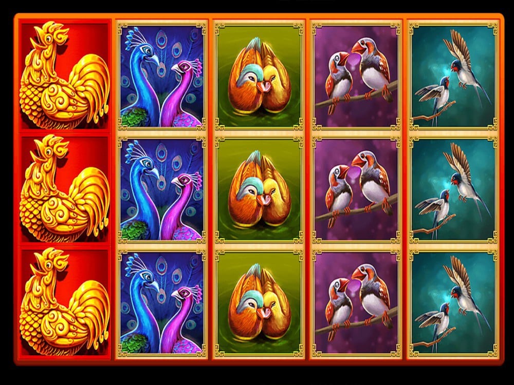 Rooster in love Slot jdb gaming